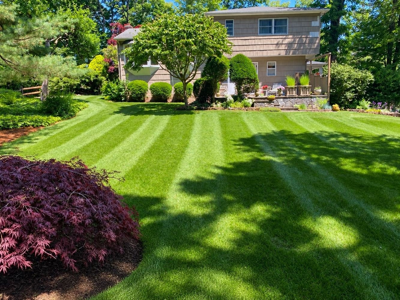 Striped lawn with ornamental planting in front of a residential home